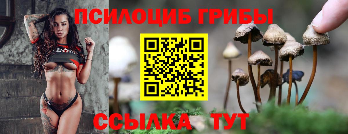 Псилоцибиновые грибы мицелий  Вход с VPN  Мыски 
