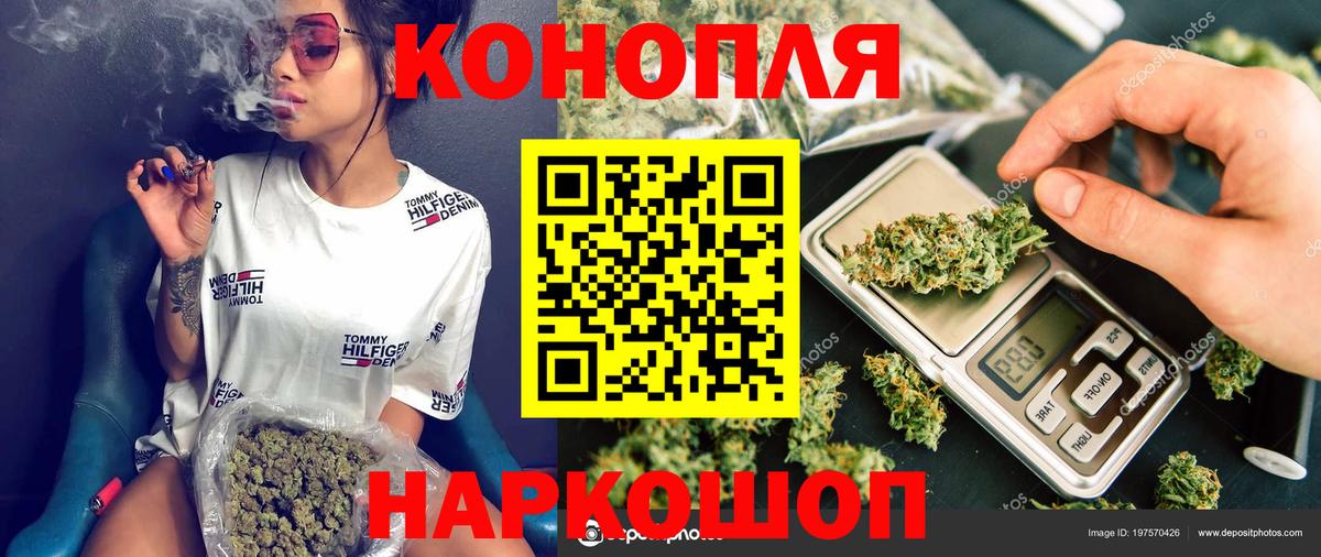 Бошки Шишки план Мыски